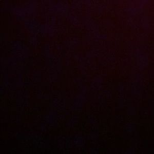 Meet your Posher, Victor